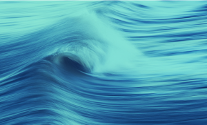 Turning The Tide